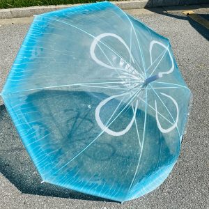 Transparent Jellyfish Pattern Automatic Stick Umbrella with 8 Ribs, Waterproof, Compact for Men & Women